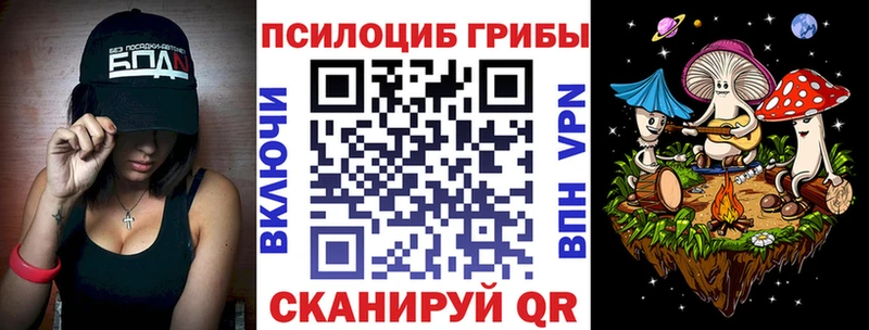 Купить где  Нестеров  Псилоцибиновые грибы ЛСД 
